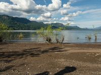 a dog walking along an empty beach with mountains in the background and lake water on the far side