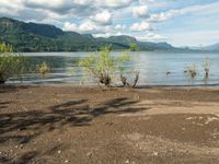 a dog walking along an empty beach with mountains in the background and lake water on the far side