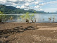 a dog walking along an empty beach with mountains in the background and lake water on the far side