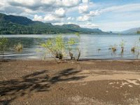 a dog walking along an empty beach with mountains in the background and lake water on the far side