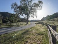 California Landscape: A Mountain Pass View