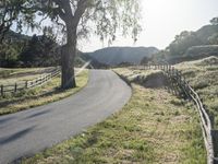 California Landscape: A Mountain Pass View