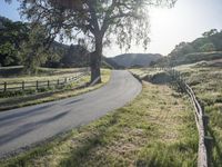 California Landscape: A Mountain Pass View