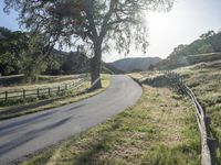 California Landscape: A Mountain Pass View