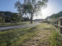 California Landscape: A Mountain Pass View