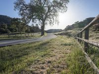 California Landscape: A Mountain Pass View