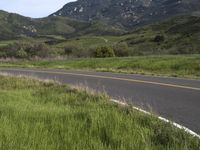 California Landscape: Mountain Pass Road