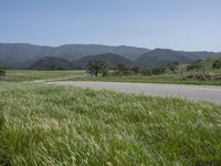 green grass on a road next to a field with hills in the background on a blue sky day