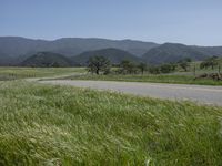 green grass on a road next to a field with hills in the background on a blue sky day