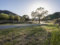 California Landscape: Mountains Under Clear Skies