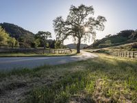 California Landscape: Mountains Under Clear Skies