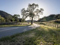 California Landscape: Mountains Under Clear Skies