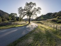 California Landscape: Mountains Under Clear Skies