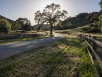 California Landscape: Mountains Under Clear Skies