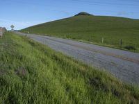 California Landscape: Nature's Greenery