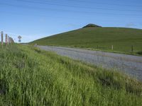 California Landscape: Nature's Greenery