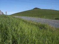 California Landscape: Nature's Greenery