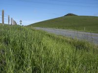 California Landscape: Nature's Greenery