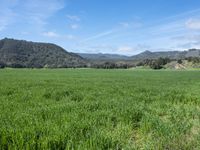 California Landscape: Nature's Open Space