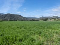 California Landscape: Nature's Open Space