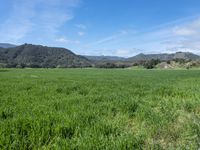 California Landscape: Nature's Open Space