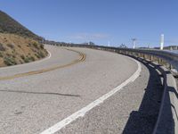 California Landscape: Nature and Trees with Yellow Line