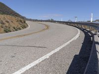 California Landscape: Nature and Trees with Yellow Line