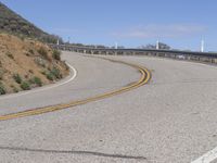 California Landscape: Nature and Trees with Yellow Line