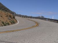 California Landscape: Nature and Trees with Yellow Line