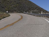 California Landscape: Nature and Trees with Yellow Line