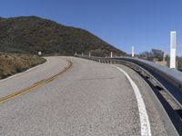 California Landscape: Nature and Trees with Yellow Line