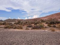 an open desert plain, with vegetation and small bushes in the foreground under cloudy skies