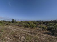 an open field with some plants and small bushes around it, with the sky in the background