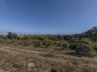 an open field with some plants and small bushes around it, with the sky in the background