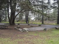 a picnic table and benches are in a park of pine trees and boulders and rocks