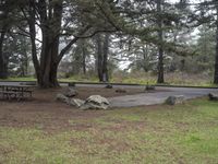 a picnic table and benches are in a park of pine trees and boulders and rocks