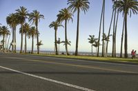 a man rides a skateboard in front of palm trees on a road near the ocean