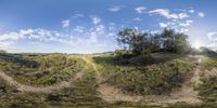 the picture is of a wide wide panorama with trees and clouds above it and a path in the middle