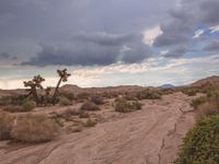 California Landscape: Rugged Mountain Landforms 001