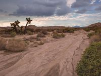 California Landscape: Rugged Mountain Landforms 002