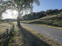 a country road passing by a tree in the distance with a fence on each side