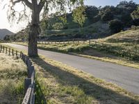 a country road passing by a tree in the distance with a fence on each side