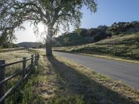 a country road passing by a tree in the distance with a fence on each side