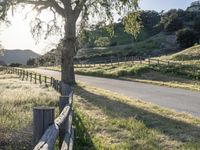 a country road passing by a tree in the distance with a fence on each side