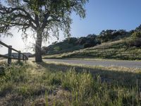 a country road passing by a tree in the distance with a fence on each side