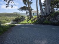 a road that has a lone tree near some trees on a hill side with a house in the distance