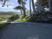 a road that has a lone tree near some trees on a hill side with a house in the distance