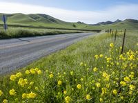 California Landscape on a Sunny Day