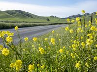 California Landscape on a Sunny Day