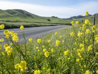 California Landscape on a Sunny Day 003